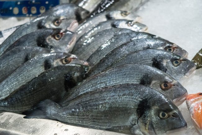 להרגיש באירופה עם ארוחת דגים בעמידה – ישר מהמקור!